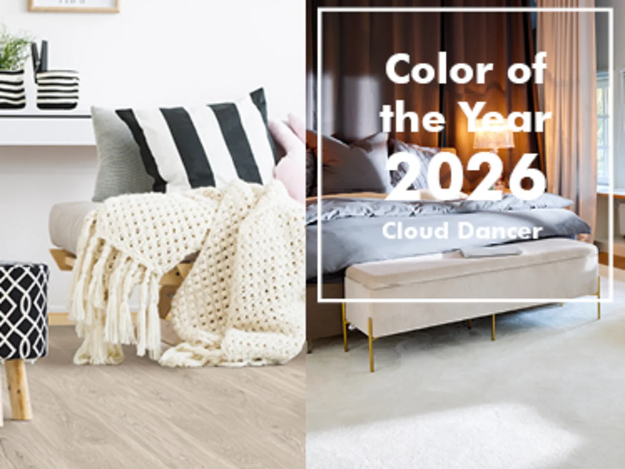 Pantone Farbtrend 2026 Cloud Dancer
